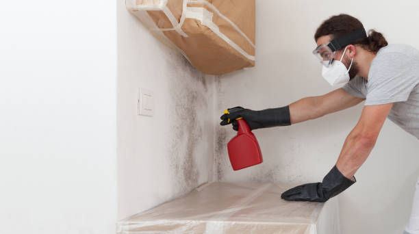 Professional Attic Mold Remediation technician working in Verona, VA