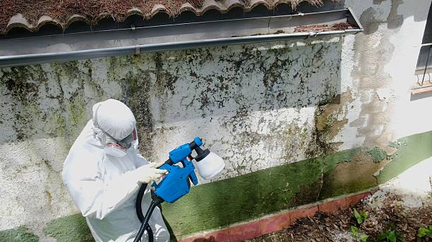 Top rated local Attic Mold Remediation specialists in Verona, VA